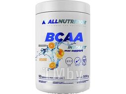 Аминокислоты BCAA Allnutrition Max Support (500гр, апельсин)