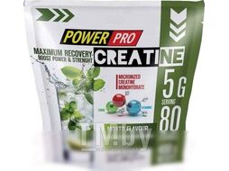 Креатин Power Pro Maximum Recovery PP / PP982337 (400г, махито)