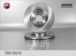 Диск тормозной Iveco Daily III 06- 289x28x9, Передний FENOX TB219318