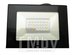 Светодиодный (LED) прожектор FL SMD Smartbuy-20W/6500K/IP65