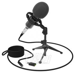 Микрофон студийный Ritmix RDM-160-BLACK