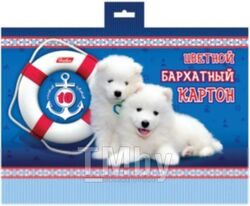 Набор цветного картона Hatber Два белых щенка / 10Кбх5-12374