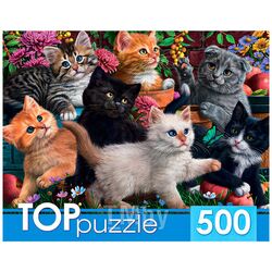 Пазлы 500 элементов Игривые котята TOPpuzzle ХТП500-6809