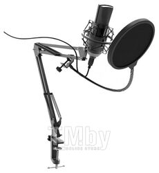 Микрофон студийный Ritmix RDM-180_Black