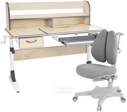 Парта+стул Anatomica Study-120 Lux Armata Duos с надстройкой, органайзер и ящик (клен/серый/серый)