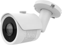 Камера для видеонаблюдения Arsenal AR-AHD50/60-28