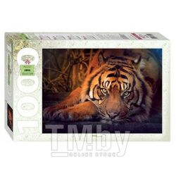 Пазл 1000 эл. Animal Collection "Сибирский тигр", 480х680, 7+ Степ Пазл 79142
