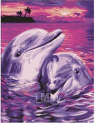 Картина по номерам Остров Сокровищ Дельфины / 662482
