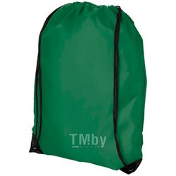 Рюкзак-мешок "Oriole" полиэстер, зеленый Oasis