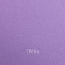 Бумага цветная "Maya" 50*70 см 270г/м2, фиолетовый Clairefontaine 397259C