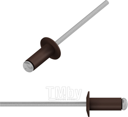 Заклепка вытяжная 4.8х12 мм алюминий/сталь, RAL 8017 (25 шт) STARFIX (Цвет шоколадно-коричневый) (SMZ1-68055-25)