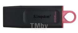 Флэш накопитель Kingston Exodia DTX/256GB