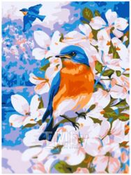 Картина по номерам Юнландия Птица в цветущем саду с акриловыми красками / 662506