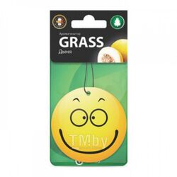 Ароматизатор картонный Smile дыня GRASS ST-0399