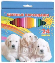 Набор цветных карандашей Hatber ВК Мои лучшие друзья / BKc 24720 (24шт)