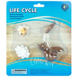 Фигурки в наборе "Life Cycle" улитка Darvish DV-T-2995