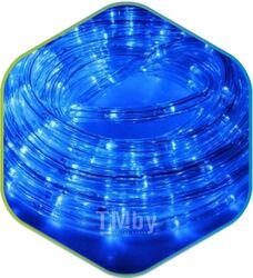 Светодиодный шнур (дюралайт) ETP LKB2002-B (20м, голубой)