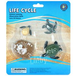 Фигурки в наборе "Life Cycle" черепаха Darvish DV-T-2989