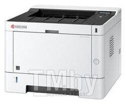 Принтер Kyocera Mita ECOSYS P2040dn, White