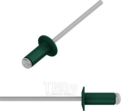 Заклепка вытяжная 4.0х10 мм алюминий/сталь, RAL 6005 (50 шт) STARFIX (Цвет зеленый мох) (SMZ1-76497-50)