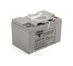 Аккумулятор для штабелеров TOR CBD20W/CDDR-E/IWS/WS/CDDB-E/DYC 12V/100Ah гелевый (Gel battery)