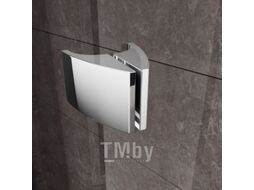 Душевая дверь Ravak Pivot PDOP2-120 (03GG0U00Z1)