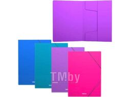 Папка для бумаг Erich Krause Diagonal Vivid / 50381