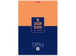 Тетрадь Erich Krause Color Block / 48880 (48л, клетка)