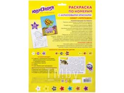 Картина по номерам Юнландия Черепашка с акриловыми красками / 661597