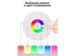 Ночник EVOLUTION 1001