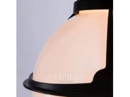Светильник уличный Arte Lamp Monaco A1495SO-1BK