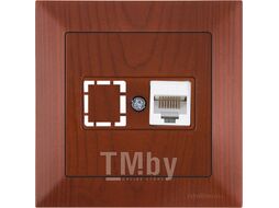 Розетка компьютерная 1xRJ45 (Cat5e, скрытая) вишня, DARIA, MUTLUSAN ((RJ 45) 8-pin, соединения типа 568A или 568B)