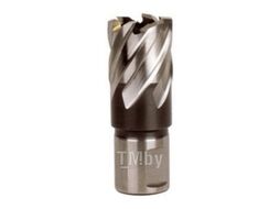 Фреза для MAG METABO HSS 17х30 мм 626505000