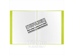 Папка для бумаг Deli Рио А4 / B00302 (голубой)