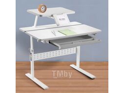 Парта Растущая мебель Study Desk E202S (с полкой)