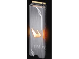 SSD диск Gigabyte Aorus RGB M.2 512GB (GP-ASM2NE2512GTTDR)