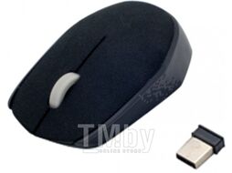 Мышь Ritmix RMW-611 (черный)