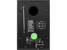 Мультимедиа акустика Ginzzu GM-407