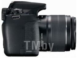 Зеркальный фотоаппарат Canon EOS 2000D Kit EF-S 18-55mm III / 2728C002AA