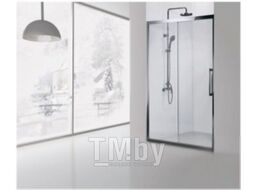 Душевая дверь Aquanet Delta 120x200 / NPE6121