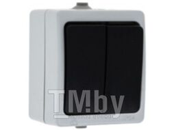 Выключатель EKF Венеция 2кл 10А IP54 / EVV10-023-30-54 (серый)