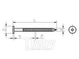 Гвоздь ершеный EKT 3,1/3,4х90, оцинкованный, РБ (упак/5кг) VZ010383