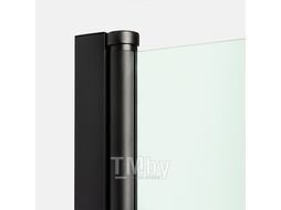 Душевая дверь New Trendy New Soleo Black 100х195 D-0242A (D-0242A)