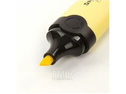 Текстовыделитель Brauberg Delta Pastel / 151729 (ваниль)