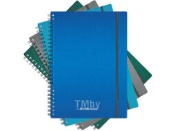 Тетрадь Erich Krause Ice Metallic / 50167 (80л, клетка)