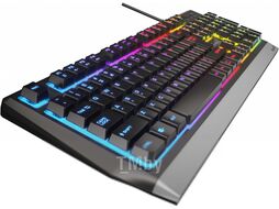 Клавиатура GENESIS Rhod 300 RGB / NKG-1823