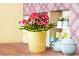 Горшок для цветов 1,5 л, Юкка, нежно-желтый, GARDENPLAST
