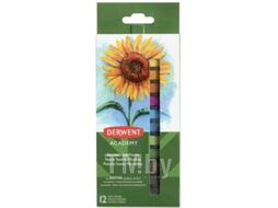 Набор сухой пастели Derwent Academy Soft Pastels / 2302397 (12шт)