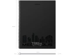 Тетрадь Erich Krause Megapolis / 45941 (80л, клетка)