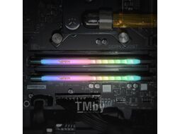 Оперативная память DDR4 Patriot PVSR48G360C0